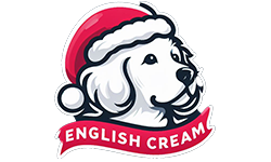 English Cream Golden Pup